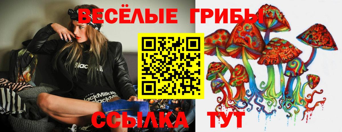 Нефтекамск  Галлюциногенные грибы Psilocybine cubensis  цены   Вход с VPN  Псилоцибиновые грибы Psilocybe 